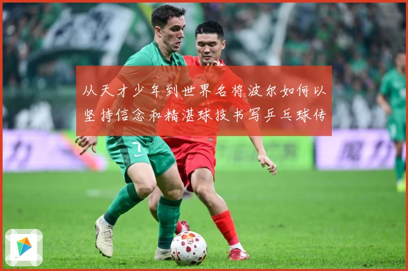 从天才少年到世界名将波尔如何以坚持信念和精湛球技书写乒乓球传奇人解析-深度解析